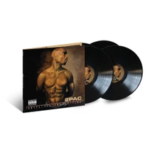 Vinyl Until the End of Time