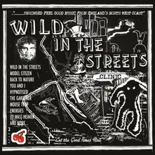WILD IN THE STREETS thumbnail