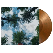 Bryce Dessner, Vinyl Train Dreams