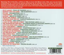 Brian Wilson – DO IT AGAIN! (CD)