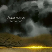 Justin Sullivan, Vinyl SURROUNDED