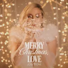 Vinyl Merry Christmas, Love