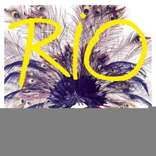 Christophe Willem, Vinyl Rio
