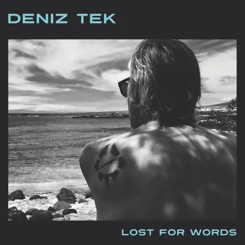 Deniz Tek – Vinyl LOST FOR WORDS