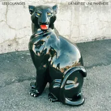 Les Louanges, Vinyl LA NUIT EST UNE PANTHERE