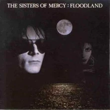 CD FLOODLAND
