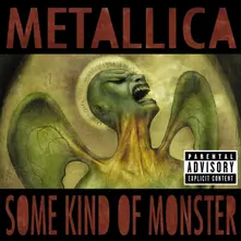 Metallica – SOME KIND OF MONSTER (CD)