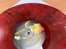 BAND OF GYPSYS thumbnail