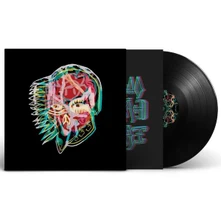 All Them Witches, Vinyl NOTHING AS THE IDEAL