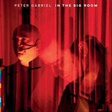 Peter Gabriel, Vinyl IN THE BIG ROOM