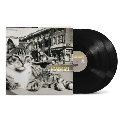 Vinyl MERMAID AVENUE VOL. II