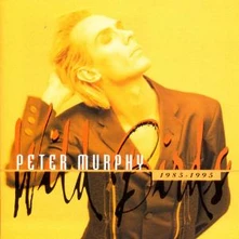Peter Murphy, CD WILD BIRDS 1985-1995