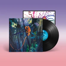 Bonnie 'Prince' Billy, Vinyl WE ARE TOGETHER AGAIN