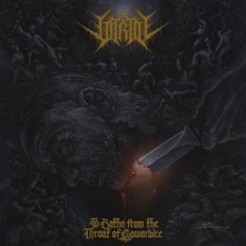 Vitriol, CD To Bathe From The Throat Of Cowardice
