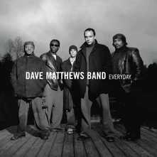 Dave Matthews Band, Vinyl EVERYDAY