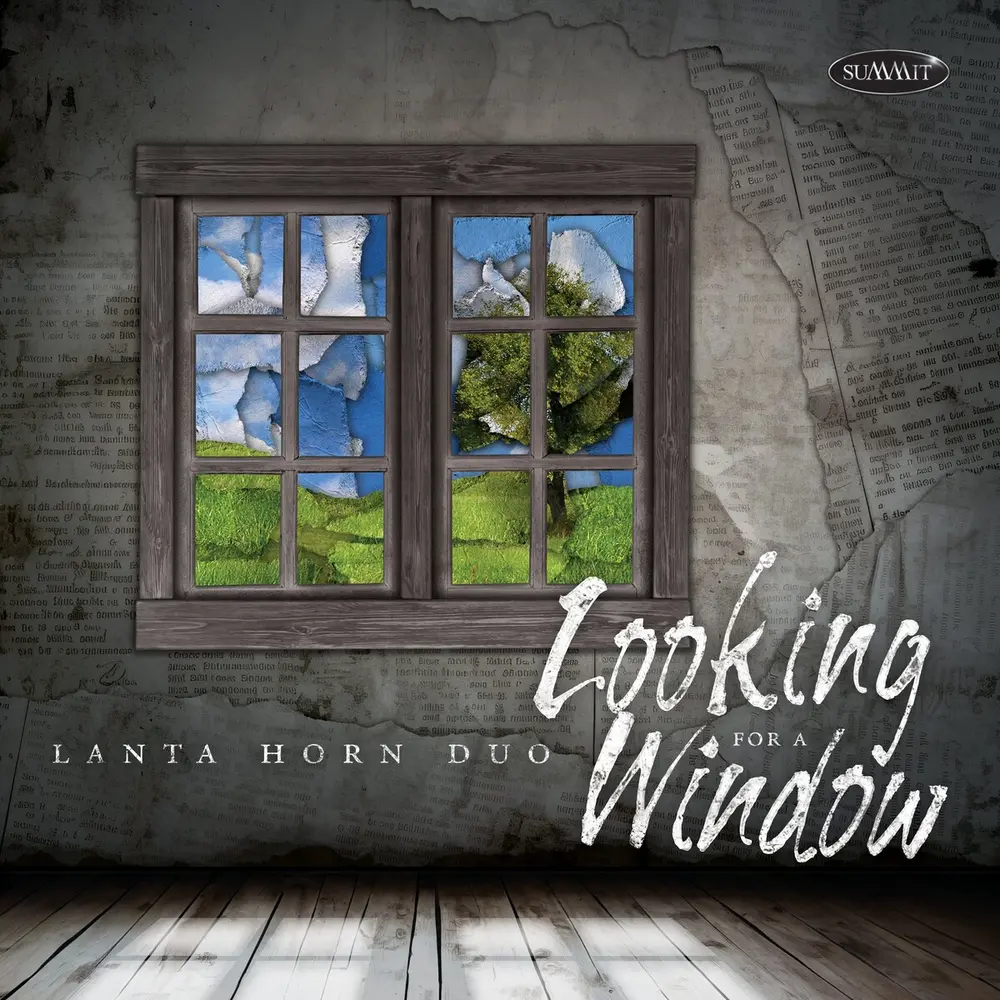 LOOKING FOR A WINDOW