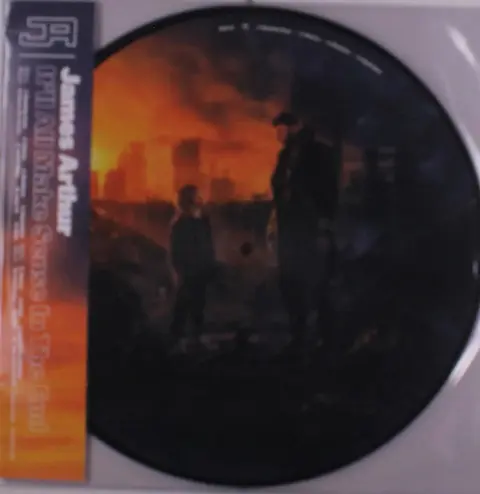 It’ll All Make Sense in the End (Picture Vinyl)