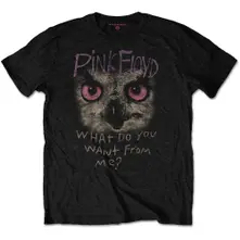 Owl - WDYWFM? thumbnail