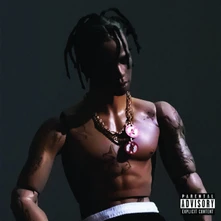 Travis Scott, Vinyl Rodeo