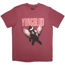 Wings