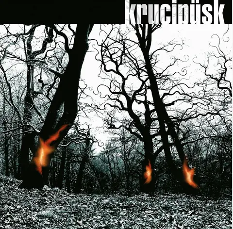 DRUIDE (20TH ANNIVERSARY REMASTER)