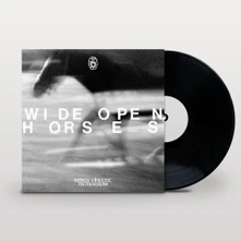 James Vincent McMorrow, Vinyl WIDE OPEN, HORSES