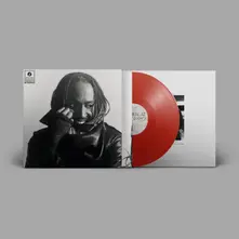 Vinyl Distracted