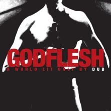 Godflesh, CD A WORLD LIT ONLY BY DUB