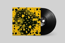 Vinyl SPLAYED WERKS