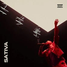 CD Sativa