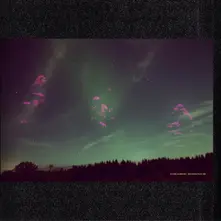 Vinyl SKOGENS FRUKTER