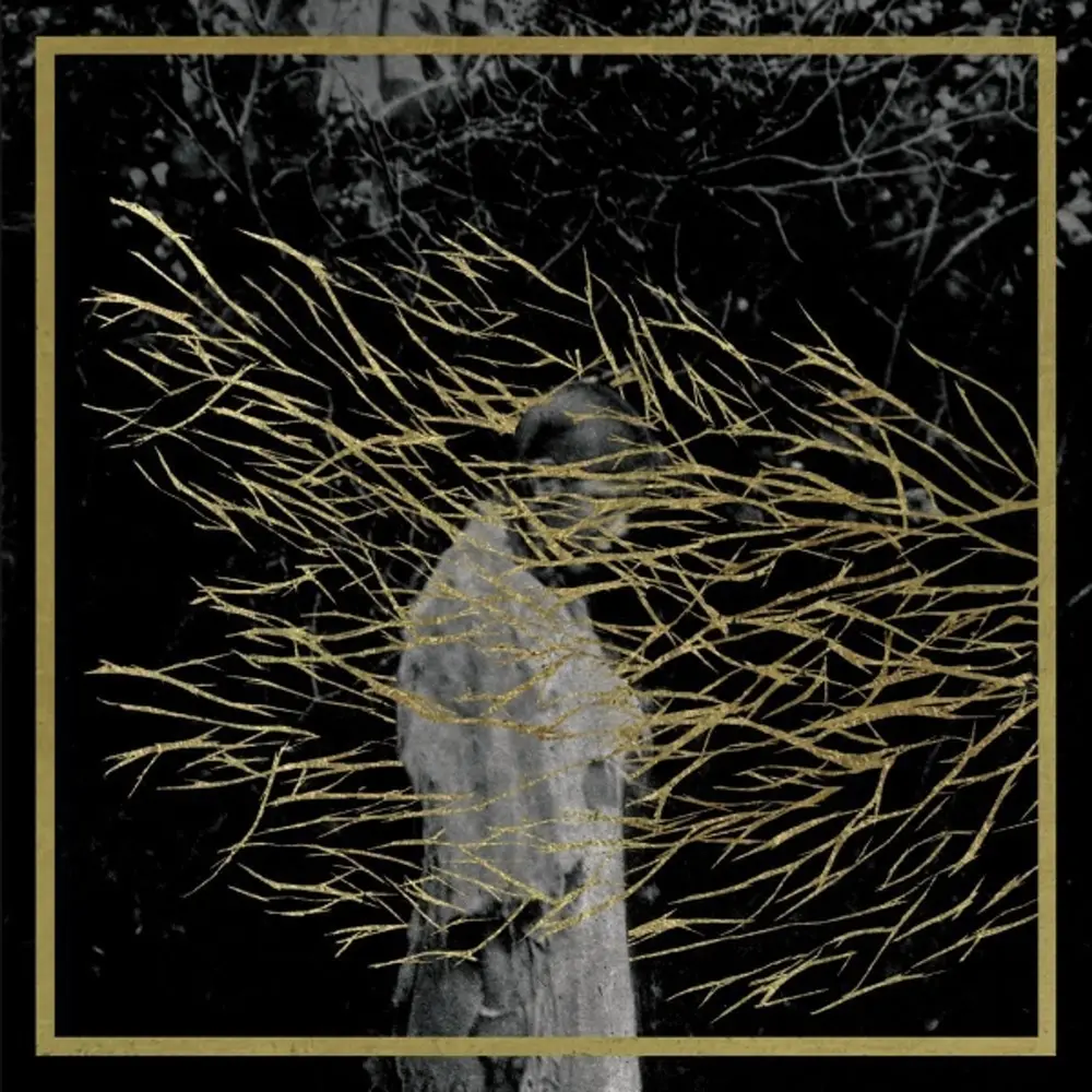 Forest Swords – ENGRAVINGS (CD)