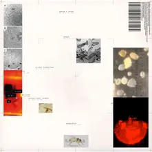 APIFORMES thumbnail