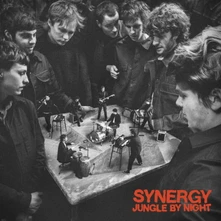 Jungle by Night, CD SYNERGY