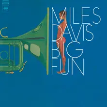 Vinyl Big Fun