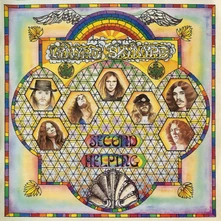 Vinyl SECOND HELPING