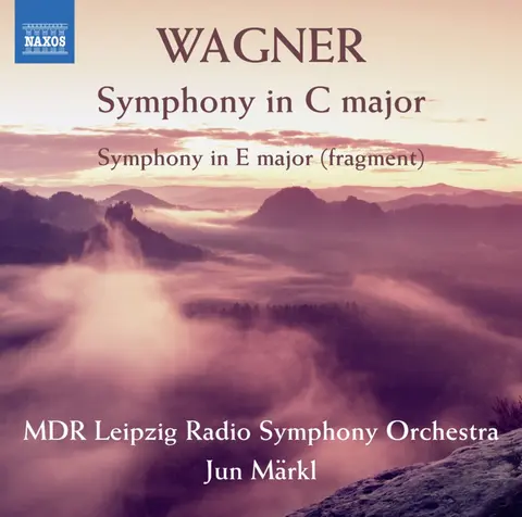 SYMPHONY IN C MAJOR/SYMPHONY IN E MAJOR (FRAGMENT)