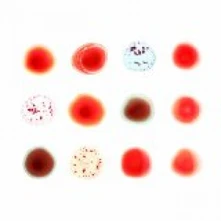 Peter Gabriel, CD SCRATCH MY BACK / AND I'LL SCRATCH YOURS