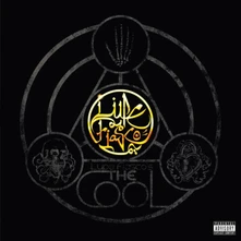Lupe Fiasco, Vinyl The Cool