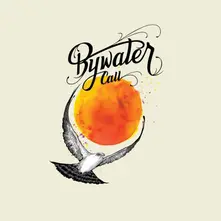 Vinyl BYWATER CALL