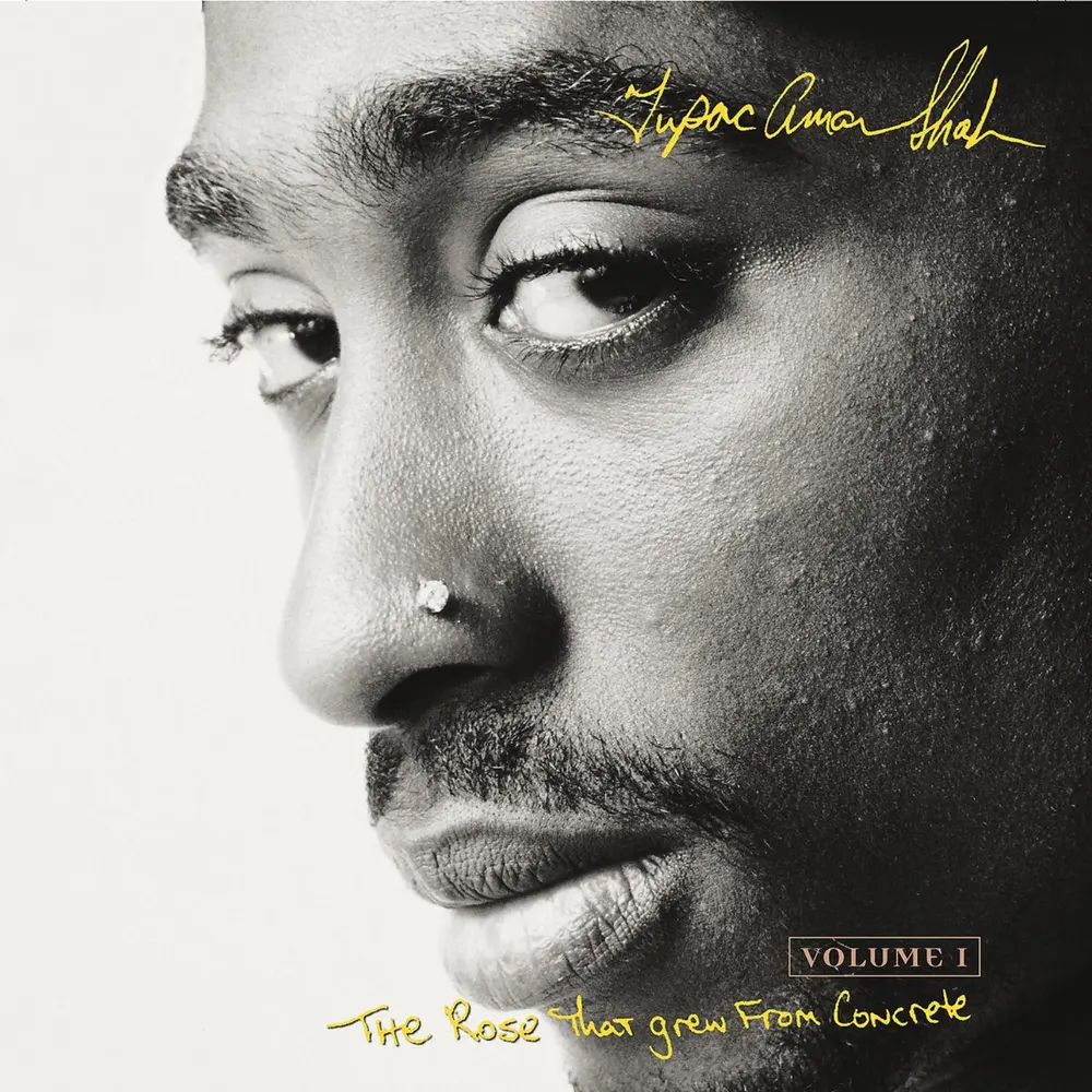 The Rose That Grew From Concrete Volume 1