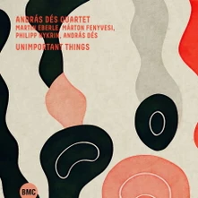 András Dés Quartet, CD UNIMPORTANT THINGS