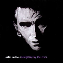 Justin Sullivan, Vinyl NAVIGATING BY THE STARS
