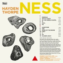 Hayden Thorpe, Vinyl NESS