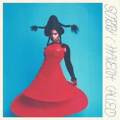 Vagabon – SORRY I HAVEN'T CALLED (Vinyl)