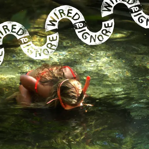 WIRED TO IGNORE