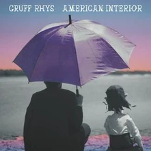 Gruff Rhys, Vinyl AMERICAN INTERIOR
