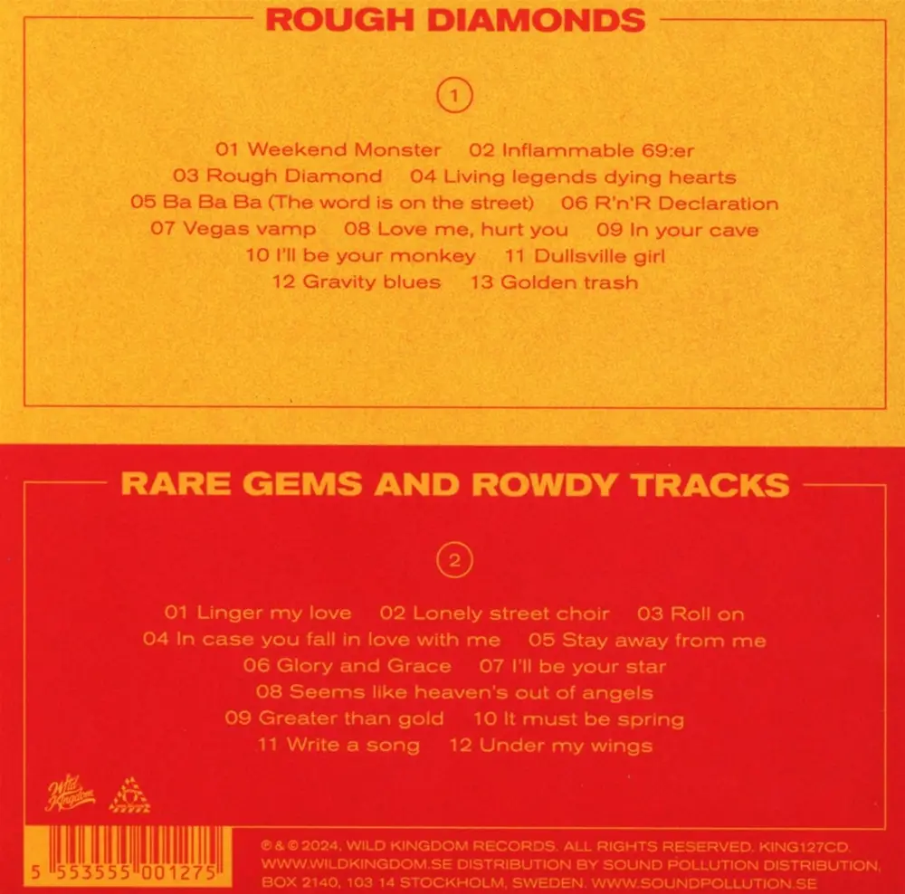 ROUGH DIAMOND + RARE GEMS AND ROWDY TRACKS