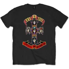 Appetite for Destruction thumbnail