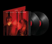 Vinyl IN THE BIG ROOM